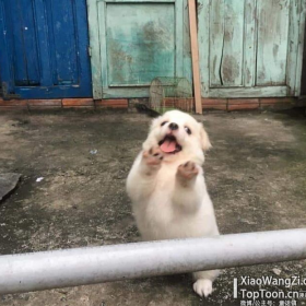 今天和明天都要快乐哦