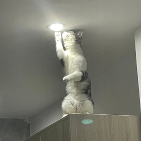 师 傅
你 是 做