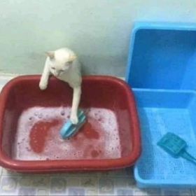 师 傅
你 是 做