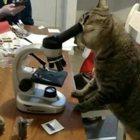 师 傅
你 是 做