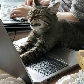 师 傅
你 是 做