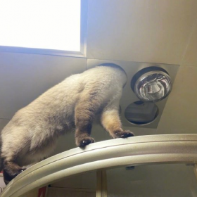 师 傅
你 是 做