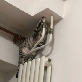 师 傅
你 是 做