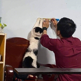 师 傅
你 是 做