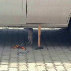 师 傅
你 是 做